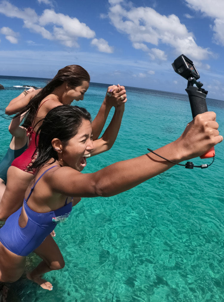 GoPro The Handler